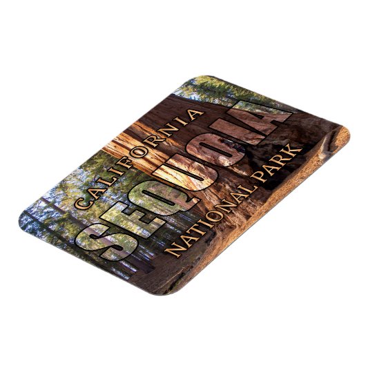 Flexible Sequoia Magnet (Côté Gauche)