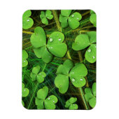 Flexible Shamrock vert Saint Patrick's Day Flexi Magnet (Vertical)