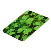 Flexible Shamrock vert Saint Patrick's Day Flexi Magnet (Côté Gauche)