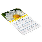 Flexible Shasta Daisy | Magnet Calendrier floral 2022 (Côté Droit)