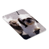 Flexible Shih Tsu Puppy Premium Magnet (Côté Droit)