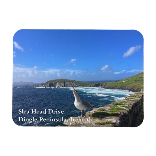 Flexible Slea Head Drive, Dingle Peninsula, Irlande Magnet (Horizontal)