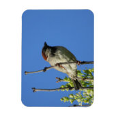 Flexible Sparrow maison sur Lilacs Magnet (Vertical)