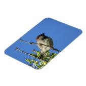 Flexible Sparrow maison sur Lilacs Magnet (Côté Gauche)