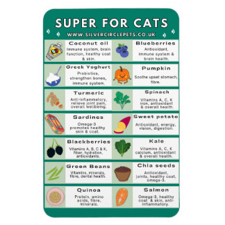 Flexible Super Foods for Cats Fridge Magnet