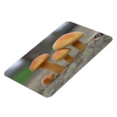Flexible Tabourets Tabourets Macro Premium Magnet (Côté Gauche)