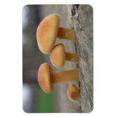 Flexible Tabourets Tabourets Macro Premium Magnet (Vertical)