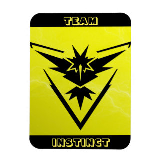 Flexible Team Instinct POGO Raid Car Magnet