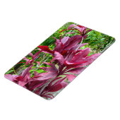 Flexible Ti Plante Photo Magnet (Côté Gauche)