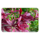 Flexible Ti Plante Photo Magnet (Horizontal)