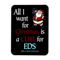 Tout Ce Que Je Veux Pour Noël...EDS Magnet