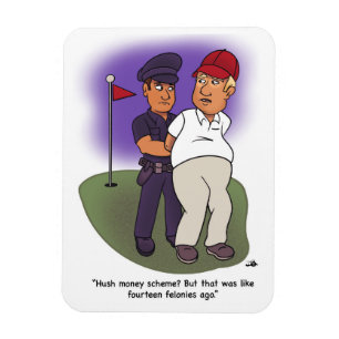 Flexible Trump Felonies Magnet