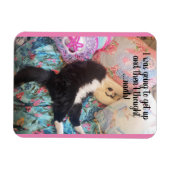 Flexible Tuxedo Chat Dormir drôle Dire chats Magnet (Horizontal)
