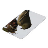 Flexible Vers Le Bas, Tournesol Mangeant Goldfinch Magnet (Côté Gauche)