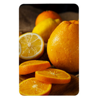Flexible Vibrant Citrus Fruits Refrigerator Magnet