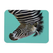 FLEXIBLE ZEBRA MAGNET (Horizontal)