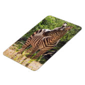 Flexible Zebra Photo Magnet (Côté Gauche)