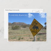 Flinders bereikt quolls briefkaart (Voorkant / Achterkant)