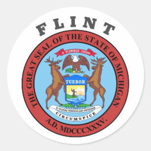 Flint, Michigan Ronde Sticker