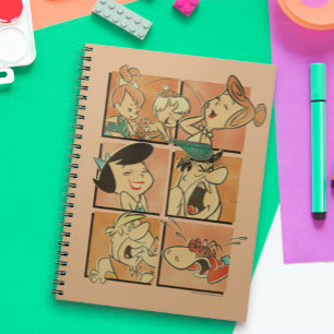 Flintstenen   Flatstenen en roebels Comite Notitieboek