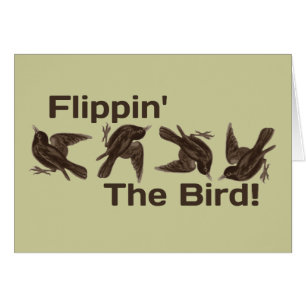 Flippin l'oiseau