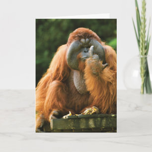 Flipping Monkey-Orangutan - Verjaardag Kaart