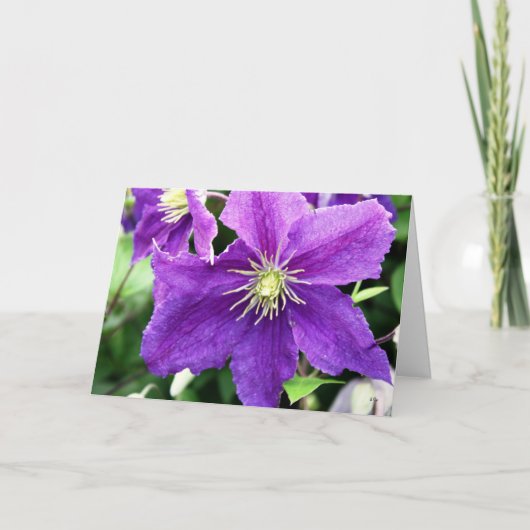 Flirty, het Denken aan u Kaart (Voorkant)