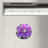 Flirty Magneet (Insitu (Vaatwasser))