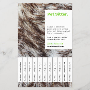 Flitsende groene huisdier zitten afneembaar Advert Flyer
