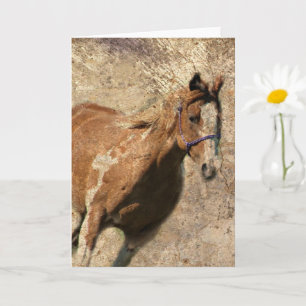 Flitsende Grunge Alle gelegenheden Kaart