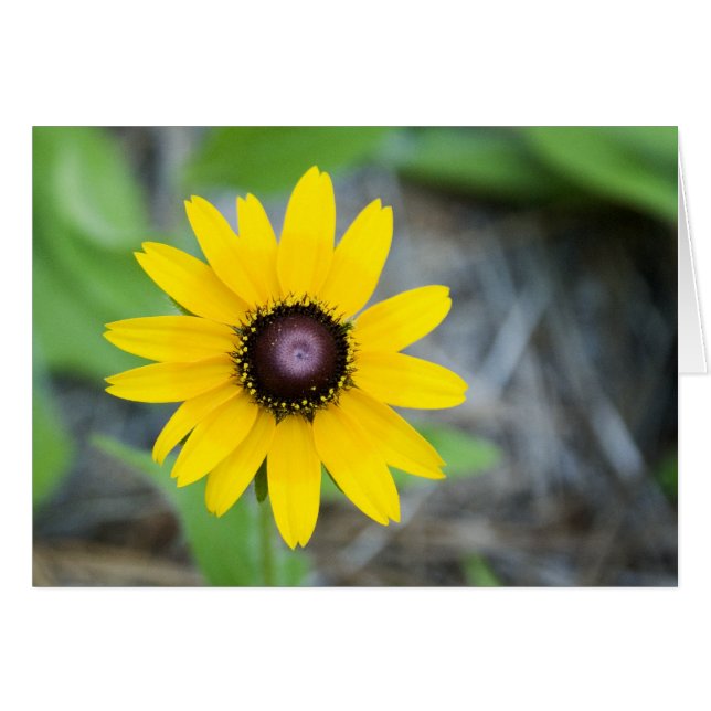 Floating Daisy (Voorkant Horizontaal)