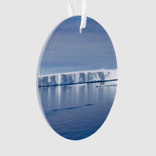 Floating iceberg (devant)