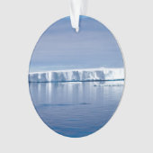 Floating iceberg (devant)