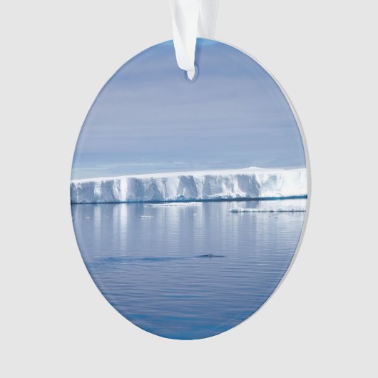 Floating iceberg (devant)