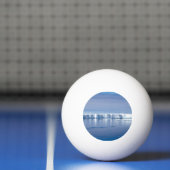 Floating iceberg pingpongballen (Net)