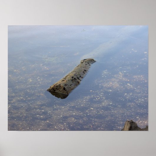 Floating Log Foto Poster (Voorkant)