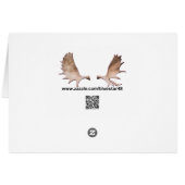 Floatplane De Havilland Beaver (Dos Horizontal)