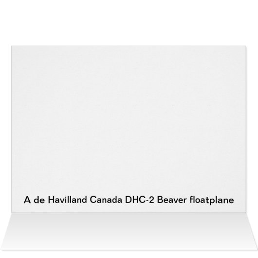 Floatplane De Havilland Beaver (Intérieur Horizontal (Haut))