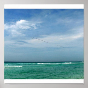 Flock in Flight - Destin, Florida Poster