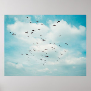 Flock of grey dove fly on vintage blue sky. above poster
