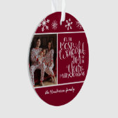 Flocon de neige de Bourgogne Merveilleux moment de (devant)