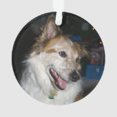 Flocon de neige moderne Chien rouge PREMIER NOËL P (dos)