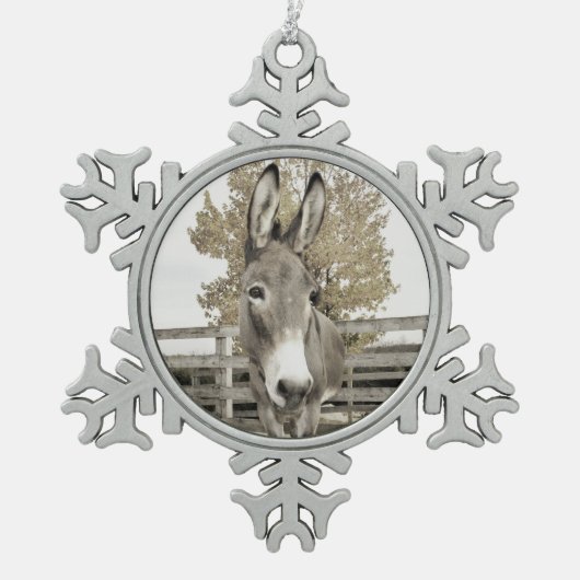 Flocon De Neige Ornement d'âne (Devant)