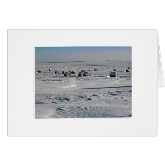 flocons gelés (Devant Horizontal)