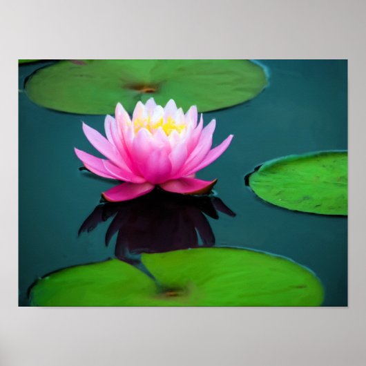 Flor 06 Ninféia Rosa Poster (Voorkant)