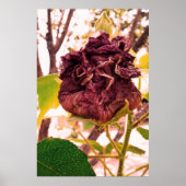 Flor da morte poster (Voorkant)