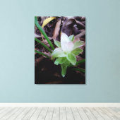 flor de açafrão da-terra canvas afdruk (Insitu (Houten vloer))