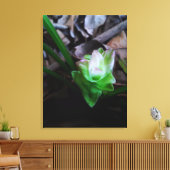 flor de açafrão da terra canvas afdruk (Insitu (Woonkamer))