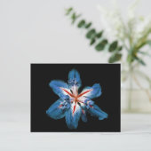 "Flor de la Mar" - Carte postale (Debout devant)