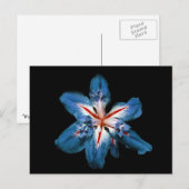 "Flor de la Mar" - Carte postale (Devant / Derrière)